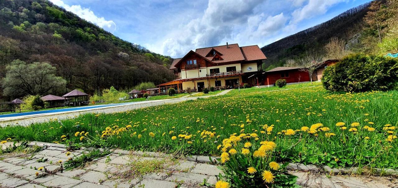 Pensiunea Casiana Ciulpăz Exterior foto