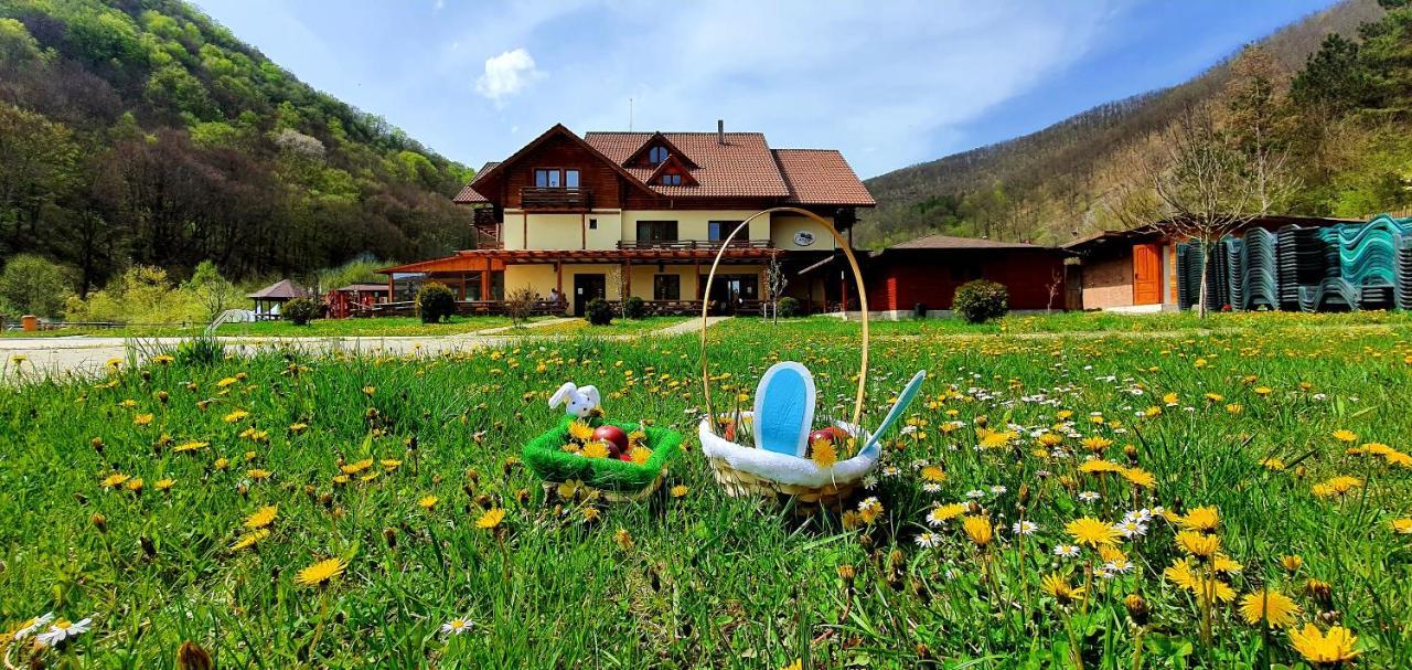 Pensiunea Casiana Ciulpăz Exterior foto