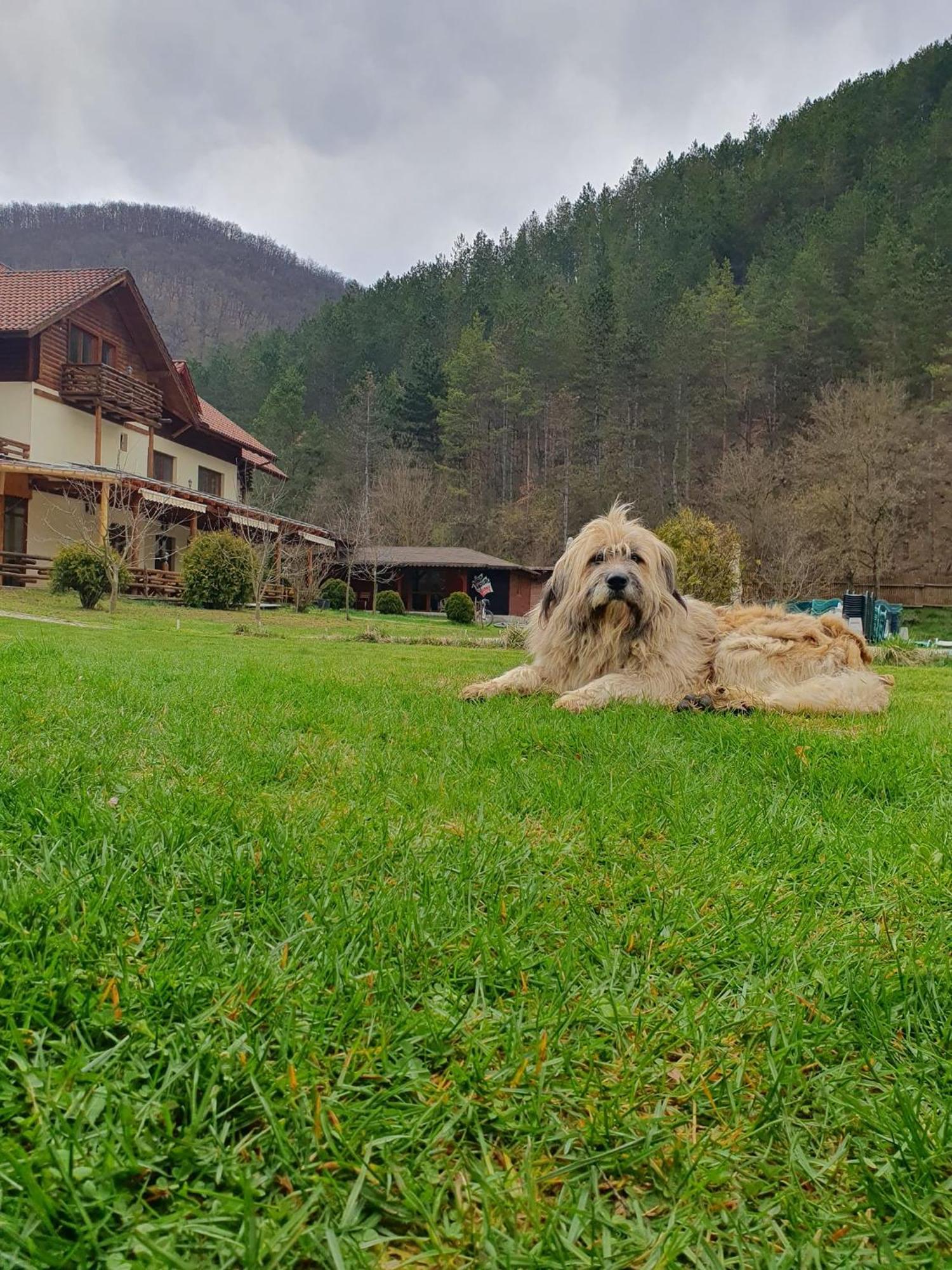 Pensiunea Casiana Ciulpăz Exterior foto