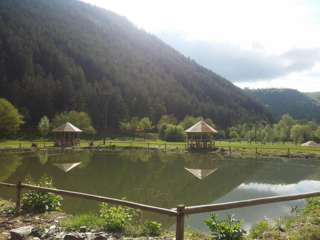 Pensiunea Casiana Ciulpăz Exterior foto